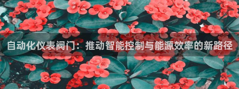 清远市顺盈广场谷哥娱乐ktv