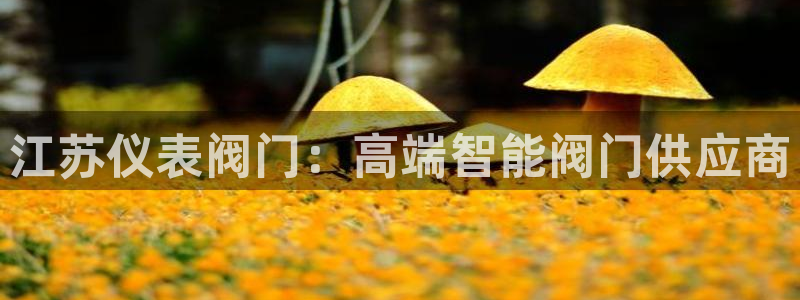 盈顺棋牌娱乐室怎么样啊