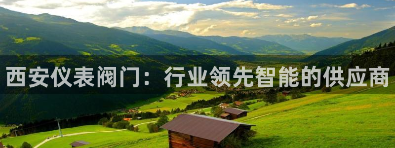 顺盈娱乐招商片判官333OO