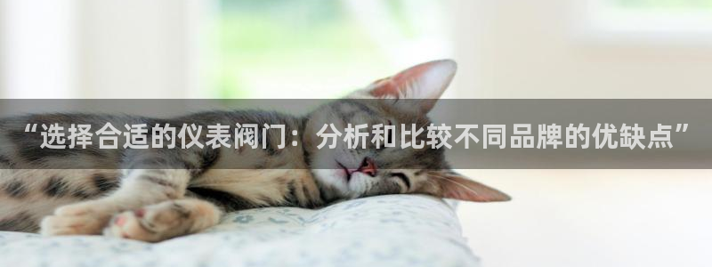 顺盈娱乐官网下载