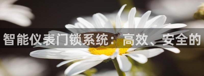 清远顺盈娱乐集团实习