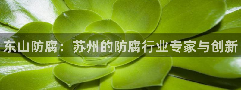 顺盈娱乐彩票怎么样