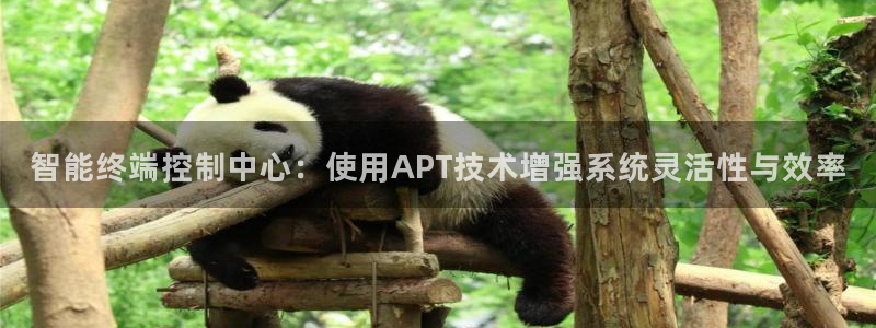 顺盈娱乐招商片判官333OO