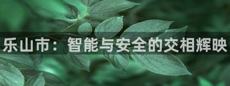 顺盈娱乐402201
