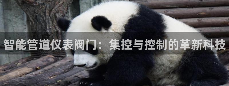 娱乐顺盈国际