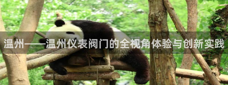 顺盈娱乐怎么样