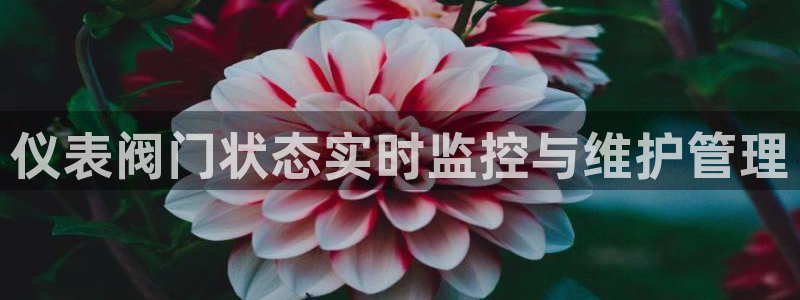 顺盈娱乐382223