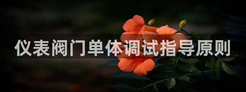 乐摇摇娱乐团购顺盈