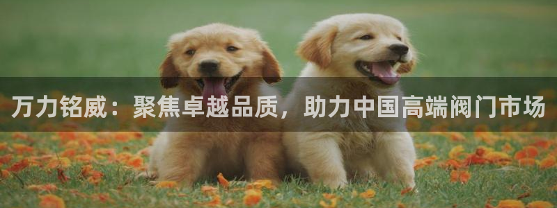 盈顺棋牌娱乐室怎么样