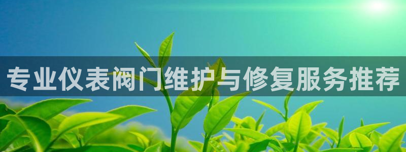 顺盈娱乐代理怎么样啊