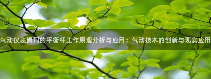 顺盈娱乐彩票官网首页