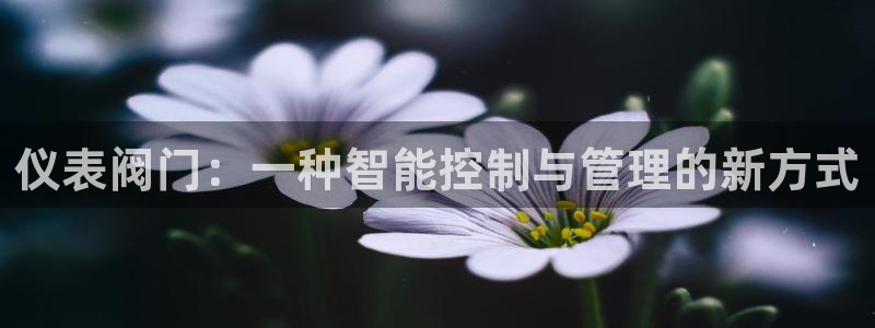 顺盈广场娱乐