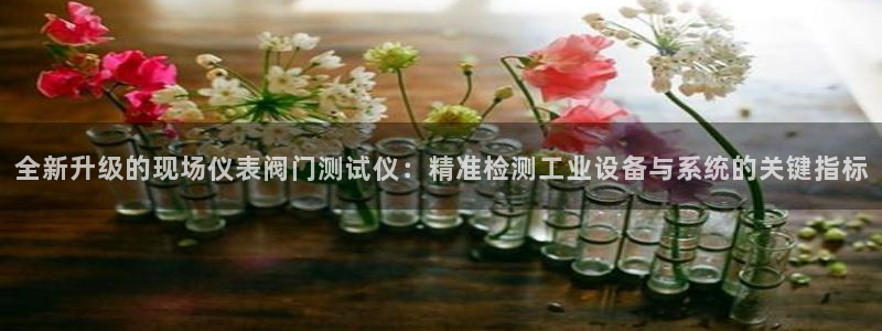 盈顺娱乐休闲室怎么样