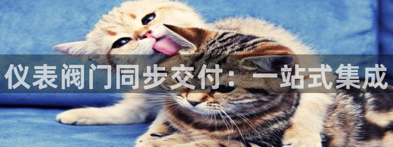 清远顺盈娱乐