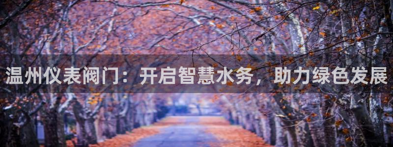 顺盈娱乐最高代理人是谁