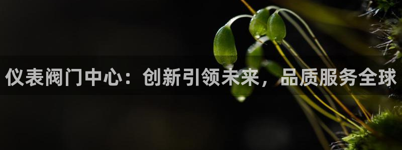 顺盈娱乐总代理是谁