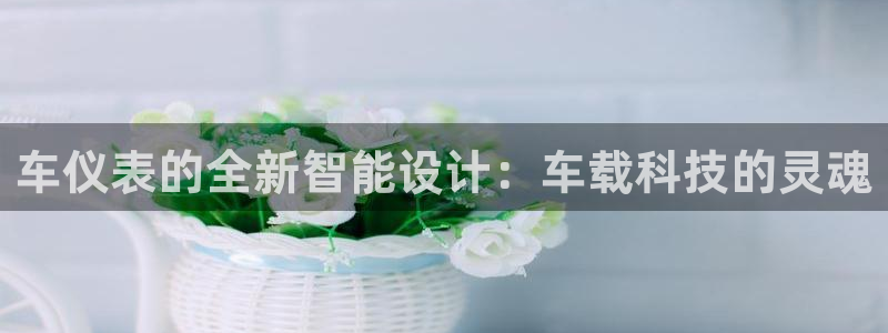 顺盈2娱乐主管啊判官333OO