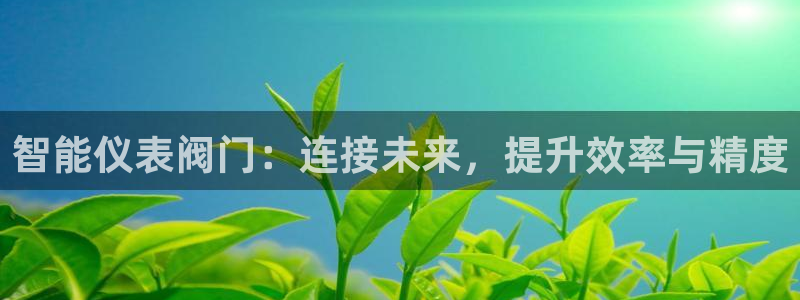 顺盈娱乐招商