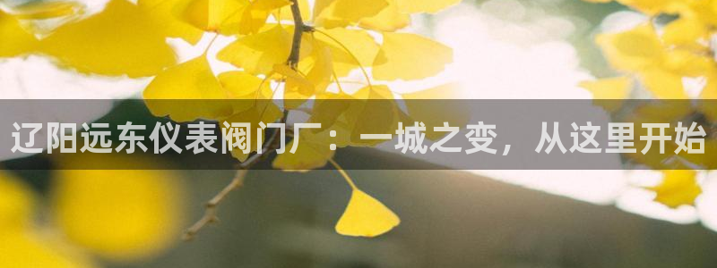 顺盈娱乐注册平台