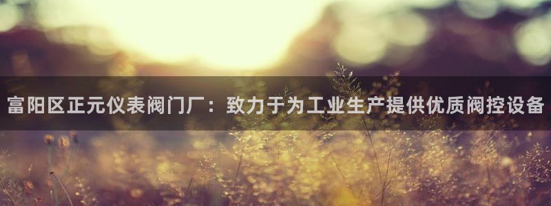 顺盈平台娱乐