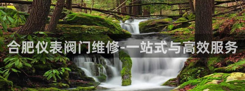 顺盈平台娱乐怎么样