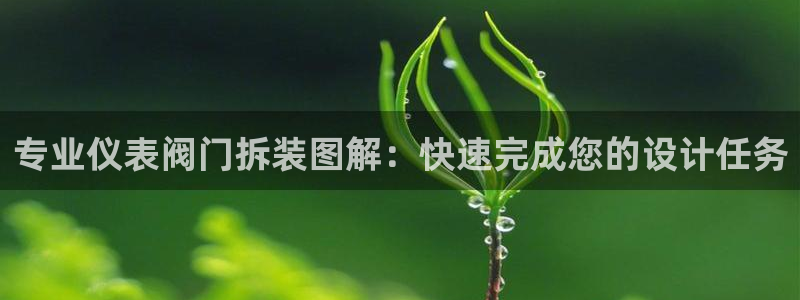 顺盈娱乐招商后原判官333OO