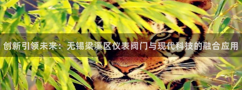 顺盈娱乐28是什么意思