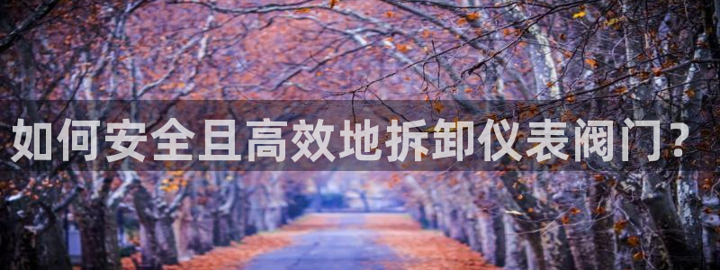 顺盈娱乐最高代理人
