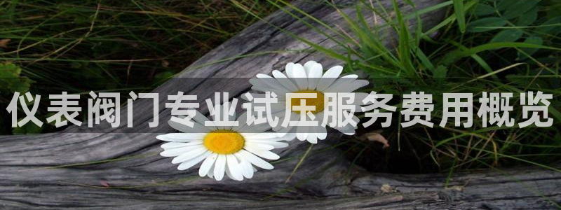 盈顺娱乐休闲室