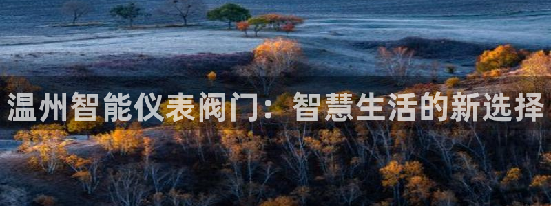 顺盈娱乐最高代理是谁呀
