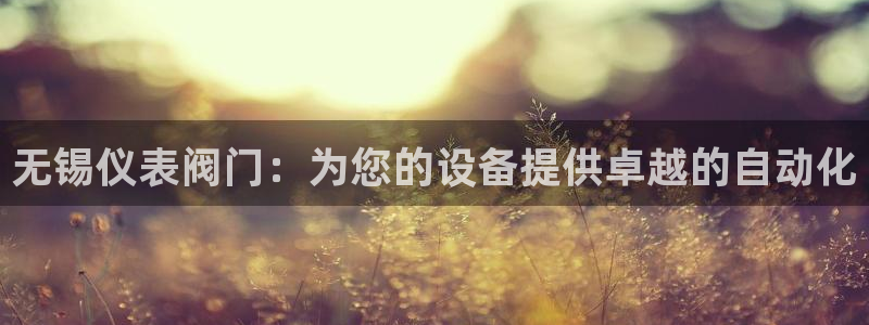 顺盈娱乐28是什么?
