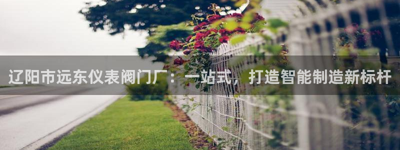 清远顺盈娱乐集团实习