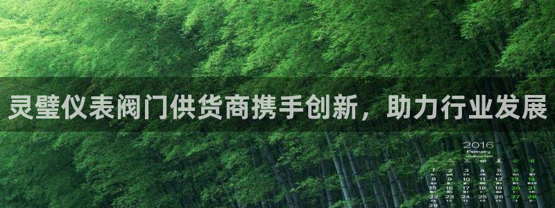 顺盈娱乐猪
