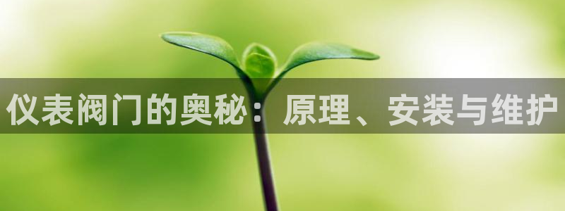 顺盈娱乐总代
