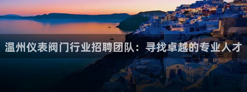 顺盈娱乐计究7276O