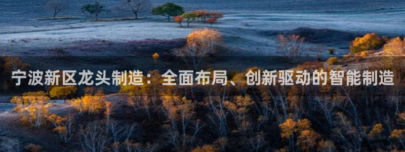顺盈娱乐游戏开发商