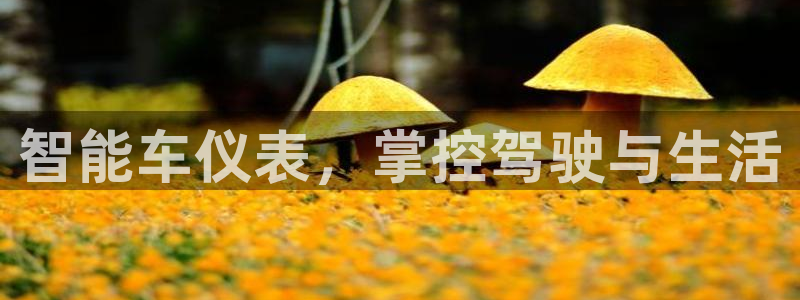 顺盈娱乐滴qv382223