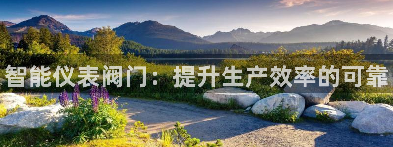 顺盈娱乐认究7276O
