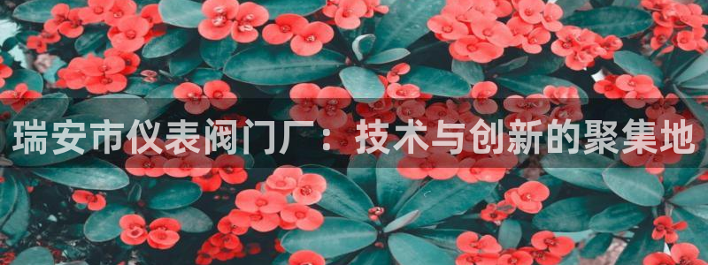 顺盈娱乐认究7276O