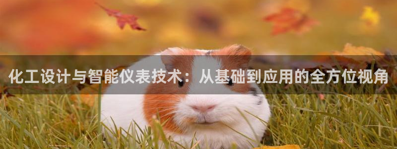 盈顺休闲娱乐室怎么样