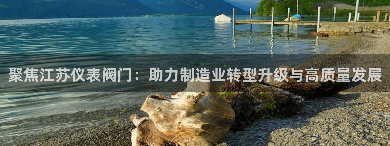 顺盈娱乐网址