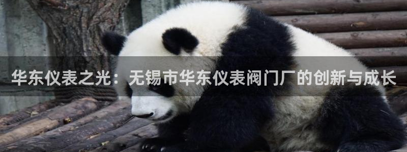 顺盈娱乐姜333OO
