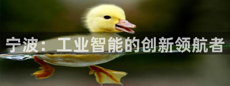 顺盈娱乐场究7276O