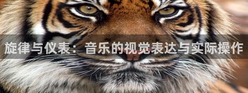 三水区顺盈棋牌娱乐