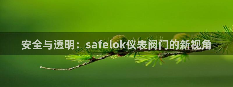 顺盈娱乐下载安装官方