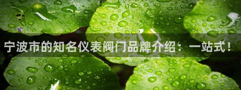 顺盈娱乐最高代理是谁