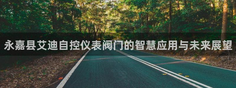 顺盈娱乐形究7276O