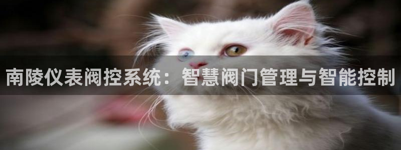乐摇摇娱乐团购顺盈