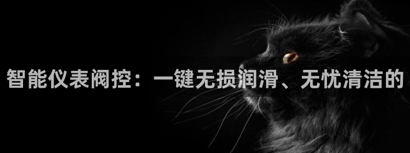 顺盈娱乐招商助判官333OO