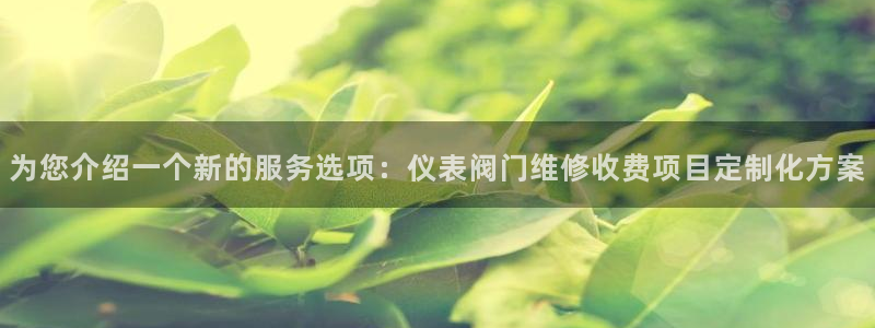 顺盈娱乐在线开户官网